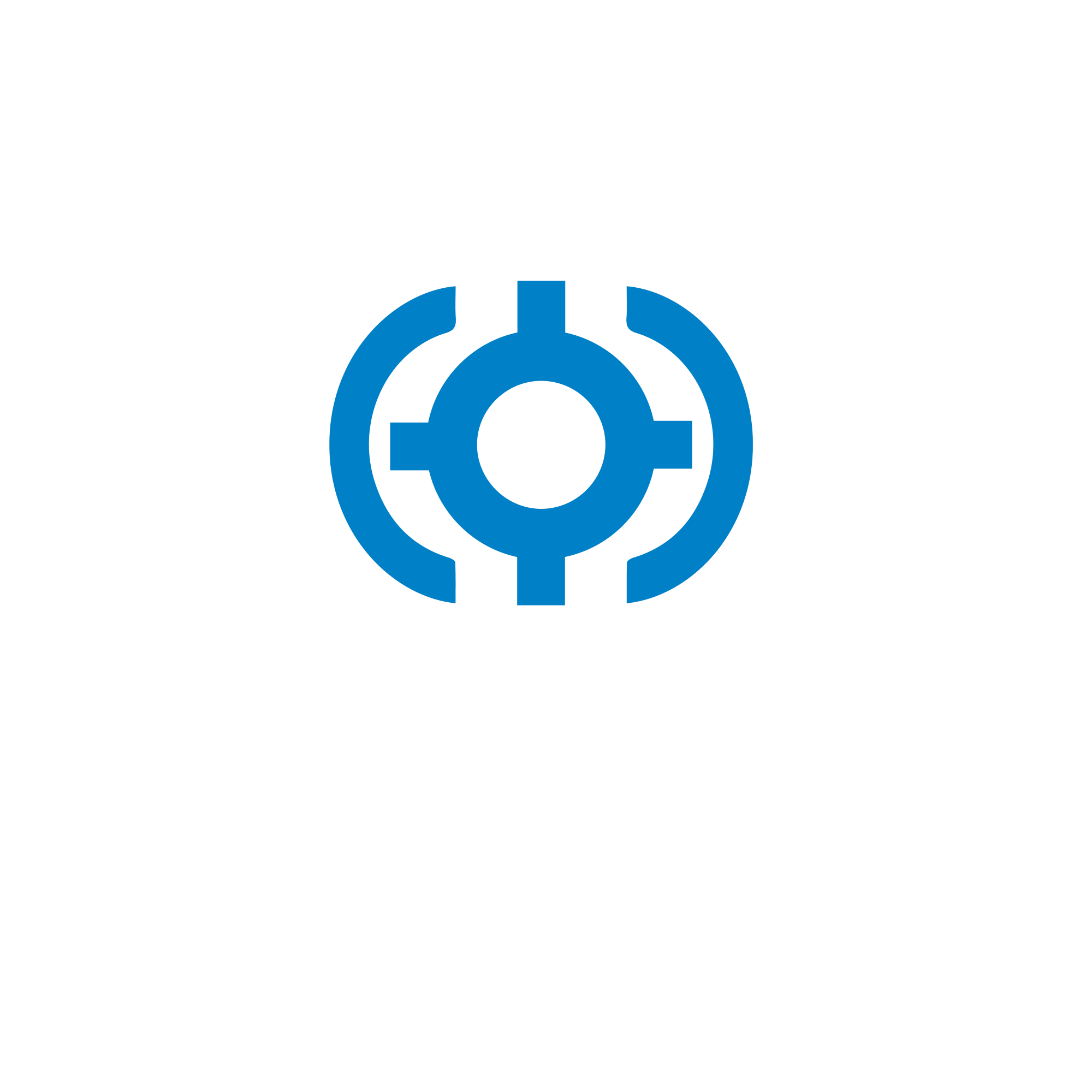 OmniChannel Consulting